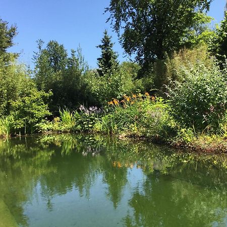 Huisje De Geluksvogel Zorgvlied Екстериор снимка
